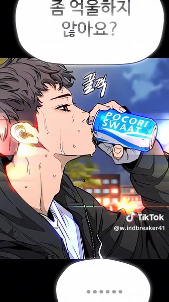 Explore the Wind Breaker Manhwa Series and Characters