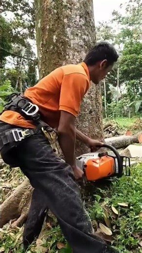 🔥💪 “Real Man’s Work — Extreme Tree Cutting!” 🪚🌲