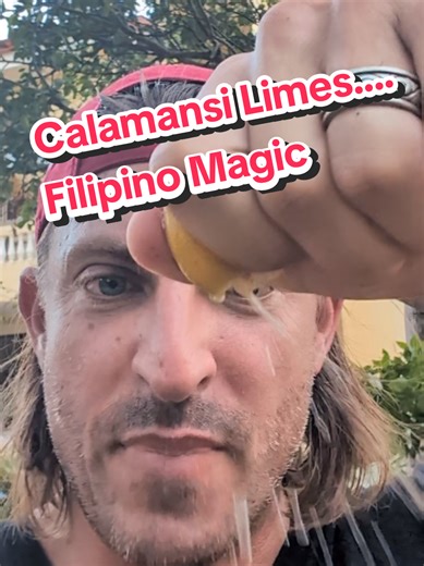 Calamansi limes aka Filipino Limes I called him one shot lines. Great for drinks!