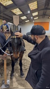 Follow for daily movies #movies | Lucas Pelizaro