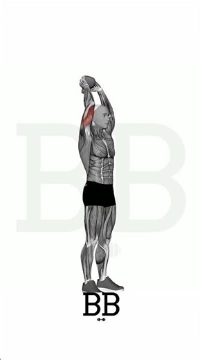 KB Standing Tricep Extension (TRICEPS): The Secret to Bigger Arms! 💪🔥