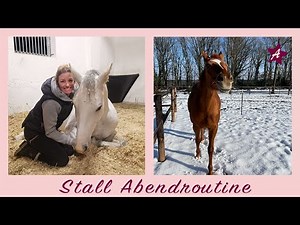 ABENDROUTINE in Ponyhausen I So versorge ich meine Pferde im eigenen Stall I Winter Edition