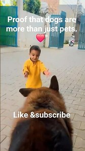 "The Ultimate 4-Legged Bodyguard 🛡️🐕 #Shorts #Trending #ytshorts