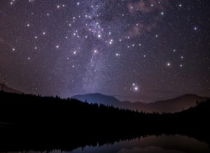 Estructuras de datos: gráficos