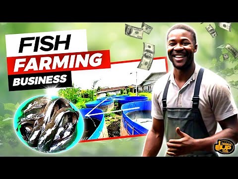 How to Start a Profitable Fish Farming Business in Nigeria: Documentary