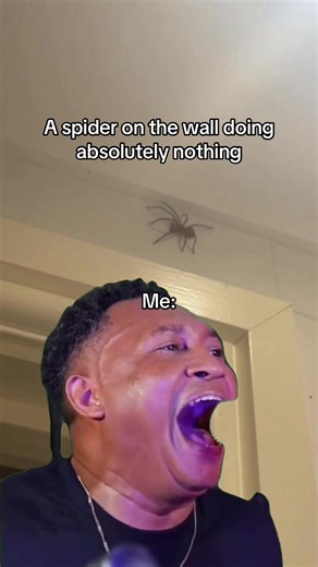 A Spider on the Wall Doing Absolutely Nothing: The Relatable Meme