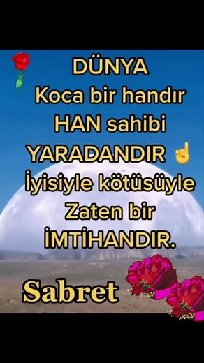 Exploring Turkish Phrases with Roses and Moon Imagery