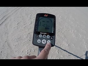 Minelab Equinox Review and Beach Test
