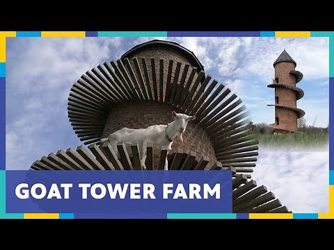 Exploring the Johnson's Goat Tower Farm in Windsor, Illinois | Living St. Louis