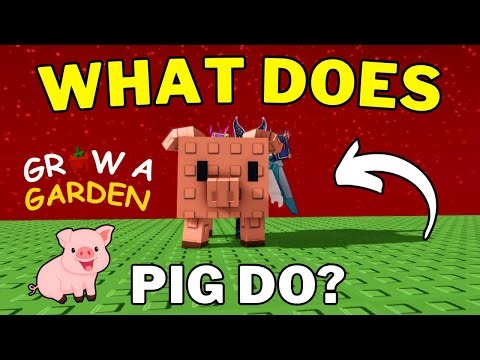 What Do Pigs Do in Grow a Garden? Everything You Need to Know