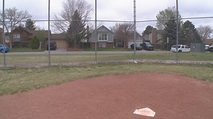 This is why a homeowner can't sue over fouls coming from neighboring school's ball field