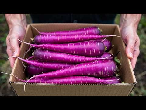 25 Giant Vegetables That Will Blow Your Mind