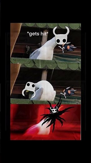 the most realistic hollow knight silksong memes #hollowknightsilksong