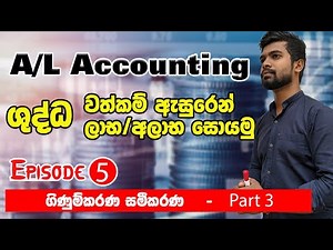 Accounting Equation Sinhala Part 3