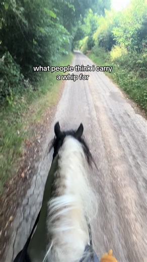 Understanding the Real Use of a Whip in Equestrian Life