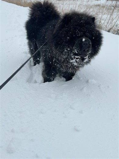 Sepanta Arya on Instagram: "-13 degrees is not my thing…"