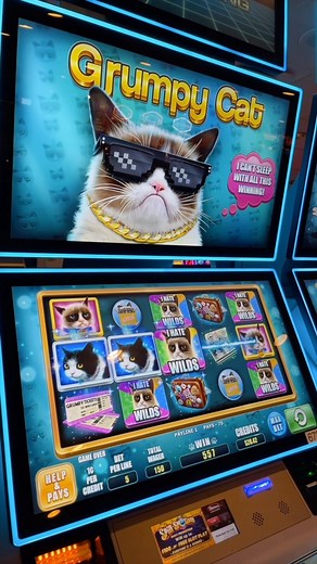 I hit the jackpot once. It was awful. 🎰 Grumpy Cat slots from @next_gaming_slots are out now and on the floor at @binions_lv and @4queenshotelandcasino in Las Vegas! Find them for a terrible time! 🎲 | The Official Grumpy Cat