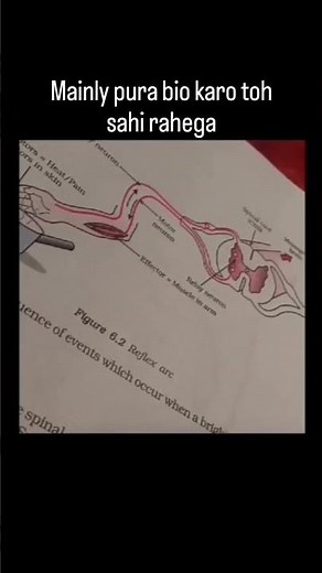 Master Class 10 Biology: The Ultimate Study Strategy!