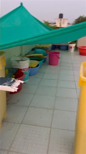 🤯🥳 Terrace Guppy Breeding Setup 🐟 | Easy Guppy Farming at Home | Beginner Guide