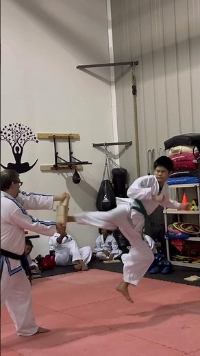 Taekwondo green belt test