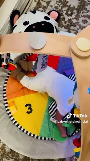 Explore Educational Toys at Baby Einstein Gifting Corner