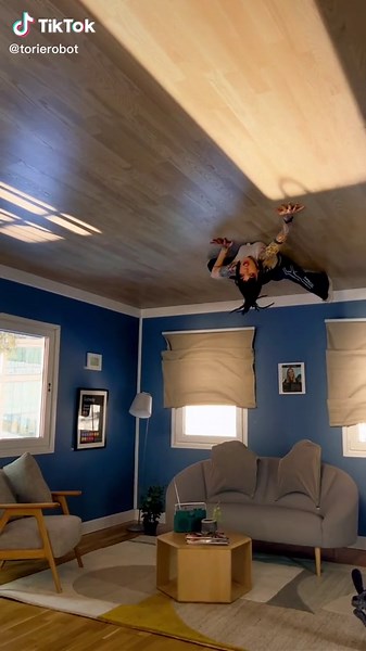 Intriguing Upside Down Optical Illusion with a Little Spider