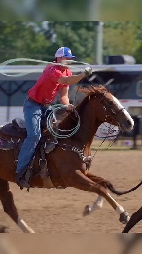 Wesley Thorp turning one for Buddy Hawkins at Mike White Open Pasture Roping #animalsdoingthings #xfactorroping #teamroping