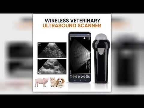 Portable Veterinary Ultrasound Scanner Wireless for Pigs Dogs Sheep IP67 Probe Handheld Ultrasound