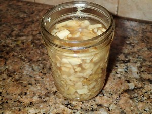 How to Make a Ginger Bug - Better Done Yourself