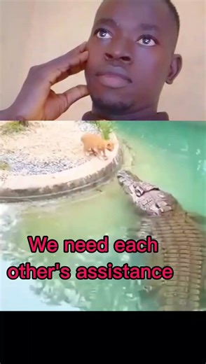 1.5K views | #lifehacks #life #vanity #loved #lifelessonslearned #lifelessons We really need each other's assistance regardless of who we are... | JSUNNY's | Facebook