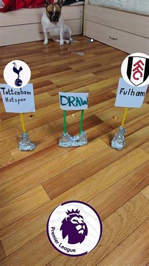 Dog Predicts Fulham vs Tottenham 🐶But THIS Is Crazy! 😳🔥