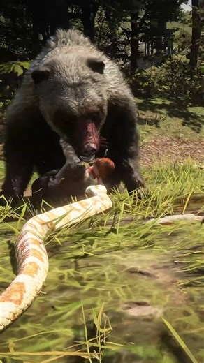 Snake Saves Man From Mountain Lion Attack 😱 | Real Life Animal Rescue Story#shortsfeed #rdr2