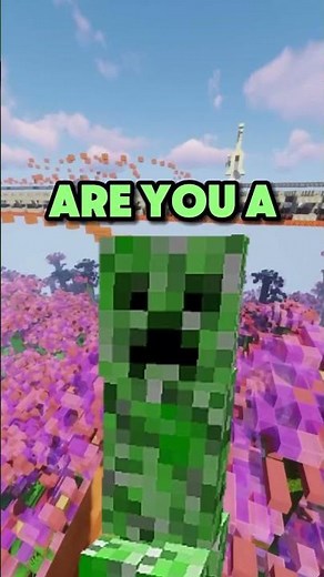 Minecraft Rizz