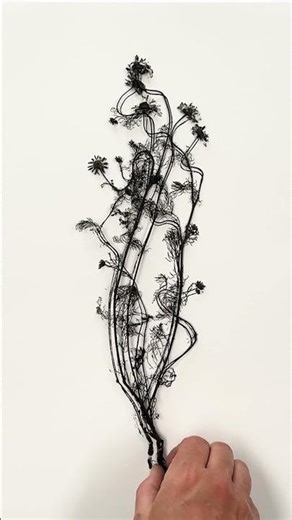 Monoprinting Camomile pressed for a change!