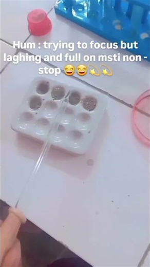 soil profile and soil ph pretical for all botany students #plantsciences #botanylovers