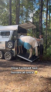 You guys enjoyed our loading up with and quite a few people asked what unloading was like so here’s the video from that same outing of unloading Willow and Oakley 🤣😍 #horse #horsetrailer #horseriding #horseloading #equestrian #horselife #horsegirl #horsefloat #horses | My Horse Willow