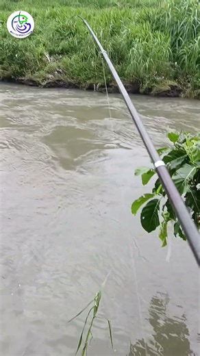 JAY MENTRI MANCING IKAN KIPER DI MUARA