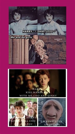 Harry Potter Was Shirtless Once and entire WizardingWorld Lost It 😂#shorts #funny #memes #shortsfeed