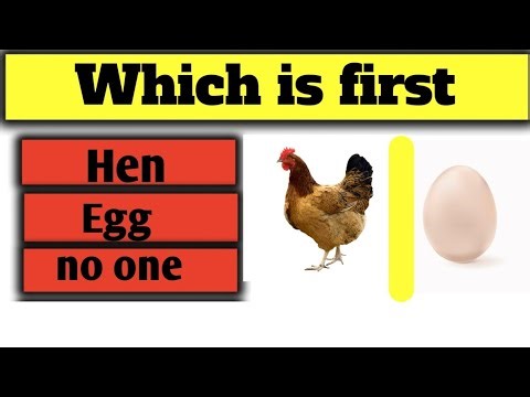 Top 5 Most Difficult 🥵 Questions in America Can You Answer These questions