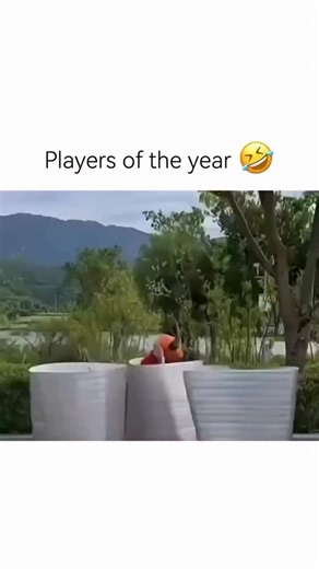 ART AND CREATIVITY 🎨 on Instagram: "Calling them players of the year makes sense because doing that game blindfolded is pure chaos mixed with skill. You’re popping out of a drum with zero vision, swinging on instinct, and trusting timing more than sight. Every hit feels accidental but somehow calculated, like muscle memory is doing all the work while the brain is just guessing. What really sells it is how locked in they look despite having no idea what’s happening around them. One second they l