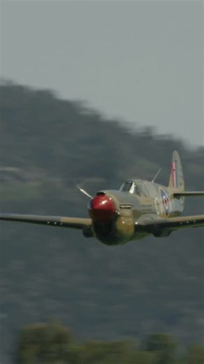 That pass was low!🤯😮 A @paysaviation P-40 pass always sounds sweet! #warbird #warbirds #pilot #p40 #kittyhawk #ww2planes | Pays Aviation