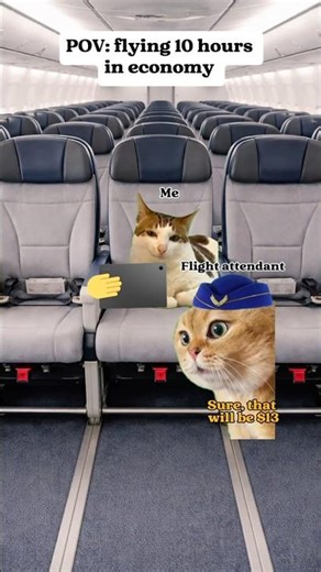 Cat MEMES 🐱flying 10 hours in economy #catvideos #catmemes #shorts #relatable #trip
