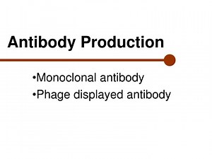 Antibody Production - SlideServe