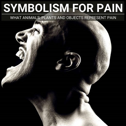 Symbolism For Pain: What Animals, Plants And Objects Represent Pain