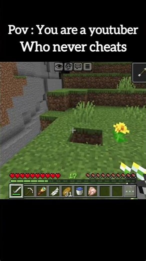 I never cheats,🤫 #minecraft