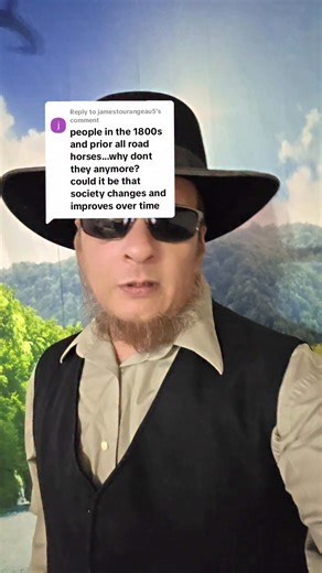 Amish_OG on Instagram: "Road horses were different than work horses. #amish #horses #amishog #examish"