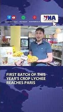 First batch of this year's crop lychee reaches Paris