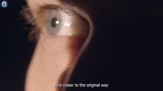 How One Man Died in a Crash and Learned the Truth About Creation