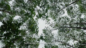 498 reactions · 151 shares | Introducing the Agras T20, the latest leap in aerial agricultural efficiency. With its powerful performance and outstanding spraying capabilities, the T20 is capable of autonomous operations over a variety of terrains. Giving users upgraded stability and flight safety via Autonomous High-Precision Operation and Omnidirectional Digital Radar.#dji #agriculture | DJI Agriculture | Facebook