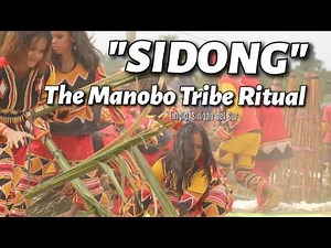 The Champions of Sidong 2024 | Manobo Tribe Ritual